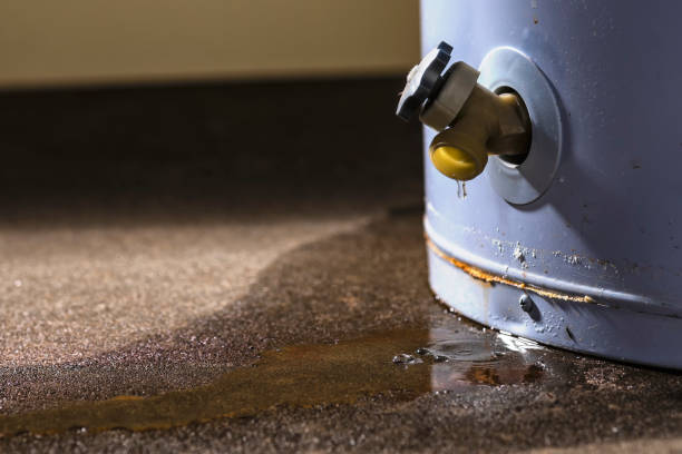 Best Professional water damage repair  in Kutztown, PA