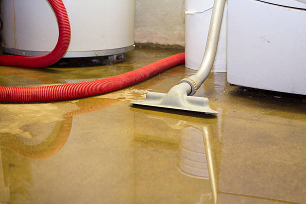 Best Water damage contractors near me  in Kutztown, PA