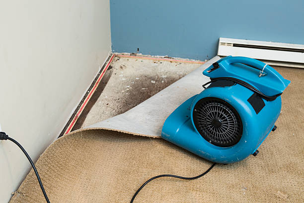 Best Water damage restoration near me  in Kutztown, PA